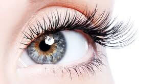 Lash Out Loud