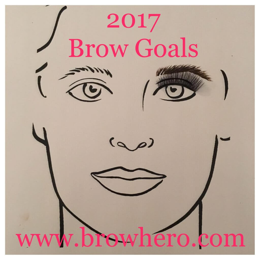 2017 Brow Goals